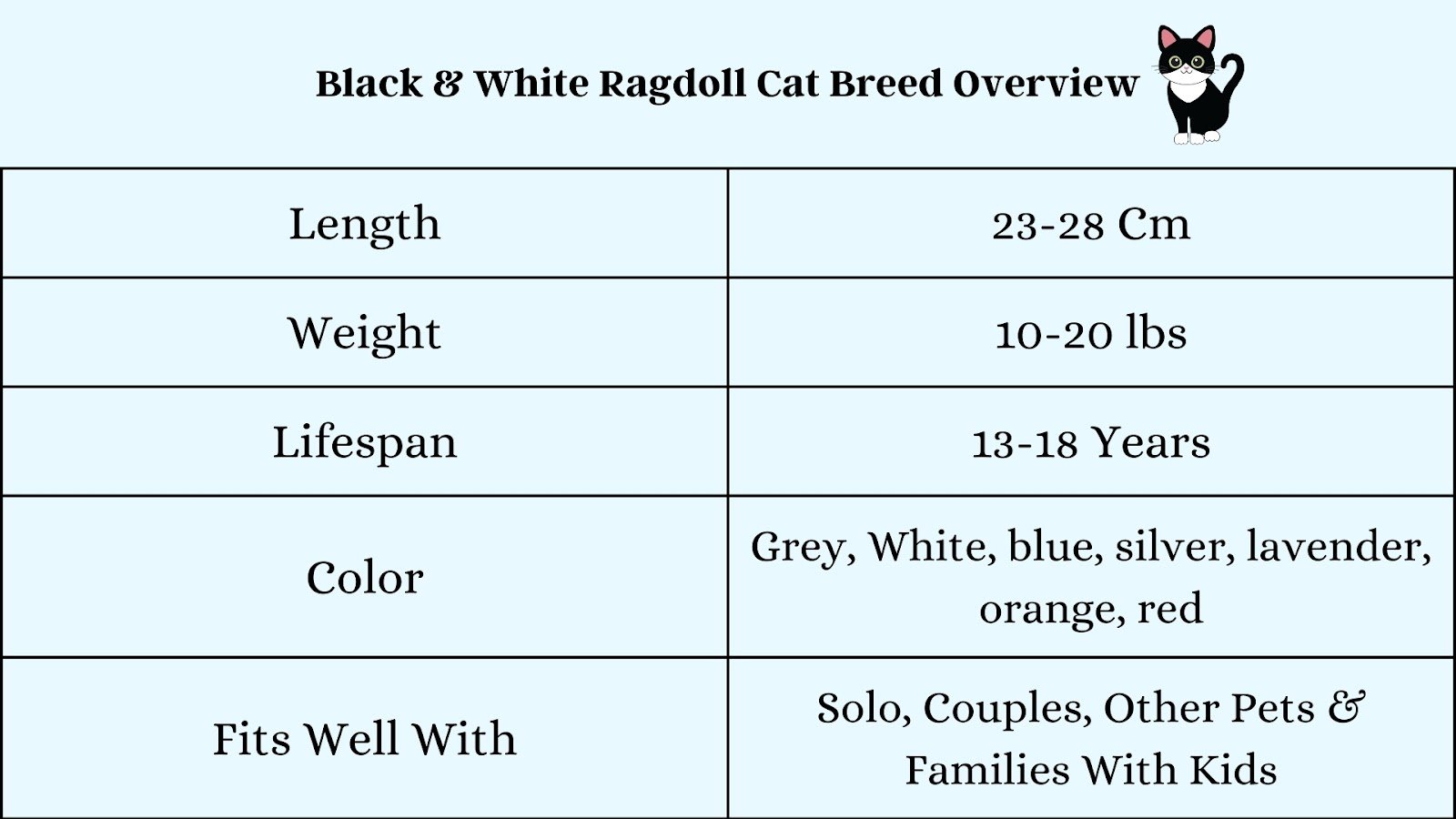 Tuxedo Ragdoll Cat Breed Overview