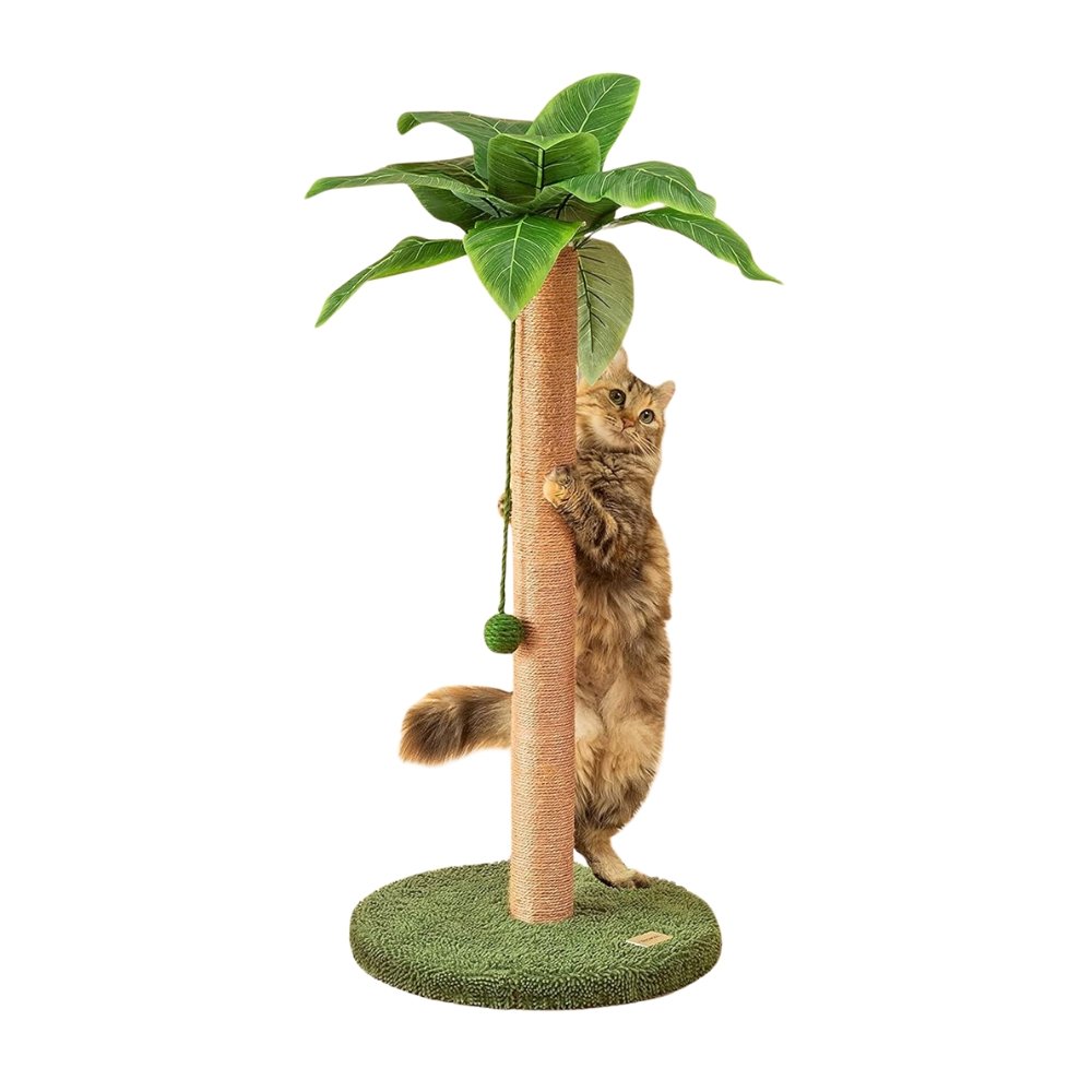 Meowoou Scratching Post for ragdoll cats