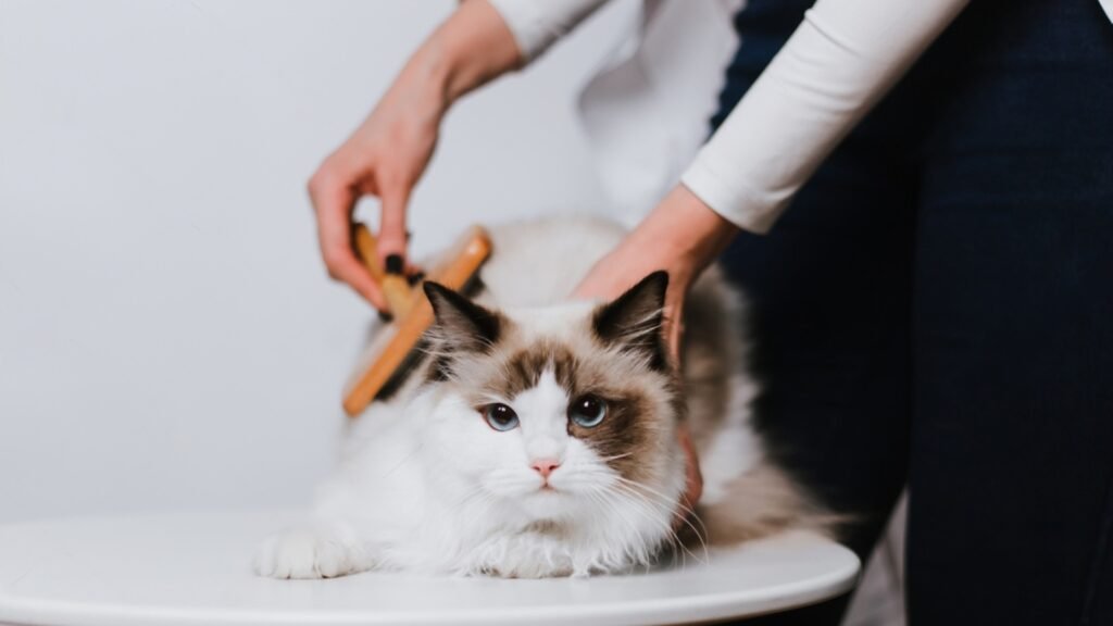 Post-Bath Brushing