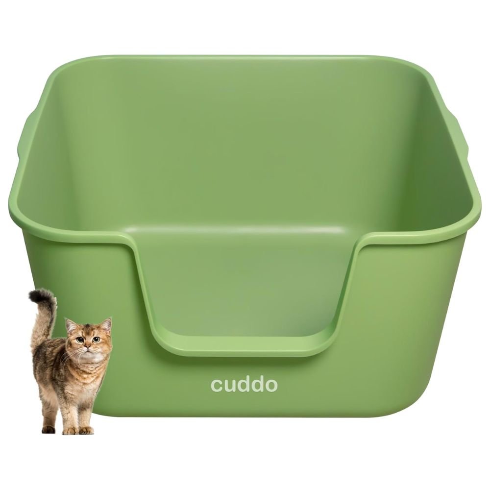 Cuddo Low entryway Little Box For Senior Ragdoll Cats