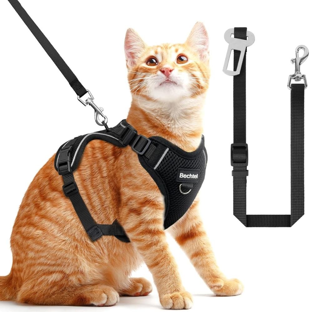 BECHTEL Cat Harness and Leash For Ragdoll Cats
