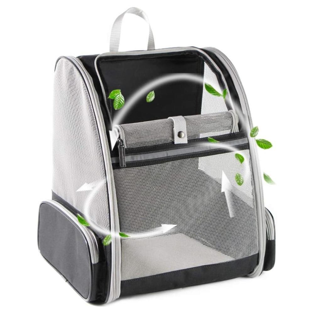 Texsens cat carrier for ragdoll kittens