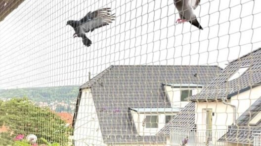 Pigeon Net for Balcony: Protecting Your Space with Ease