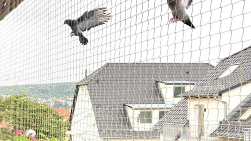 Pigeon Net for Balcony: Protecting Your Space with Ease