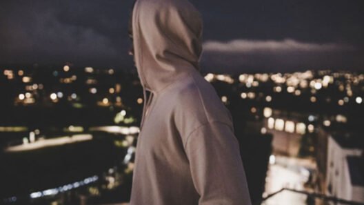 Spider Hoodie USA Summer Fits You Will Love