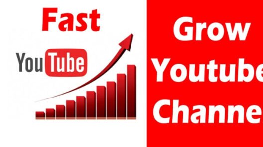 Youtubestorm – My Experience Growing a YouTube Channel