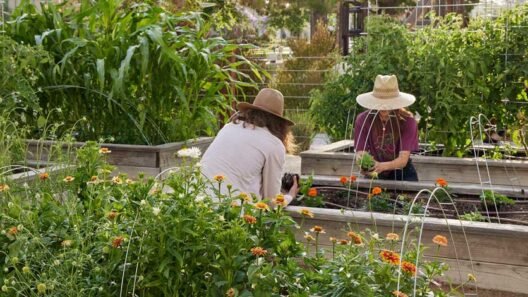 Unlocking the Sweet Success: A Guide to Honey Glazed in Grow a Garden