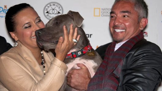 Cesar Millan's Wives: A Look into the Relationships of the Dog Whisperer