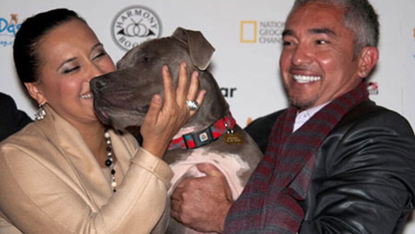 Cesar Millan's Wives: A Look into the Relationships of the Dog Whisperer