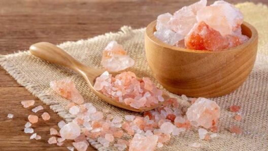 Detox and Mineral Balance: What Bolivia Pink Salt Can Do for Your Body