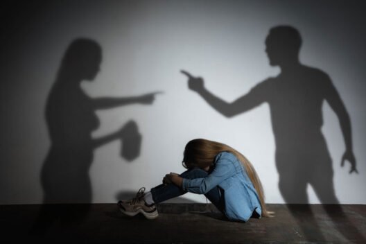How Apprehended Violence Order Attorneys Safeguard Victims Effectively In Sydney