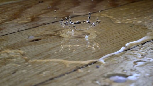 Protecting Your Property from Water Damage Risks