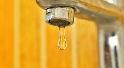 The-Homeowner’s-Guide-to-Cleaner,-Safer-Water-Systems