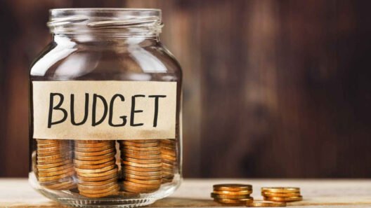 Emergency Budgeting: What to Do When Money Runs Out