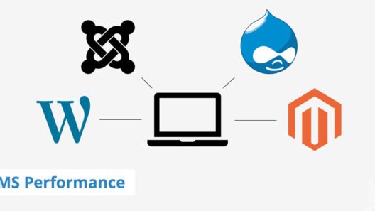 How CMS Performance Problems Can Impact Your Business and What You Can Do About It