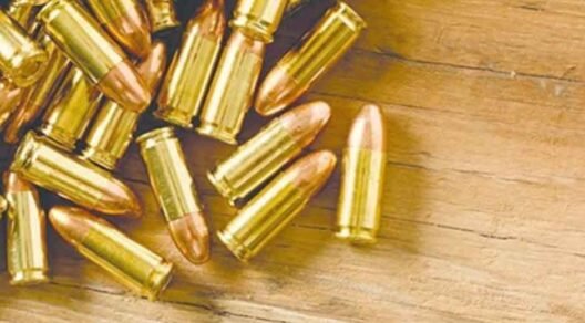 What Every Gun Owner Should Know Before Purchasing Bulk Ammo