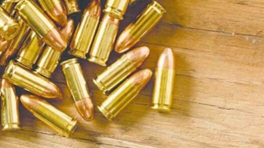 What Every Gun Owner Should Know Before Purchasing Bulk Ammo