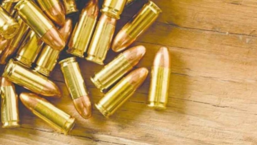 What Every Gun Owner Should Know Before Purchasing Bulk Ammo