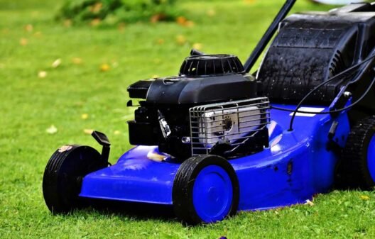 571-Simple Lawn Care Tips that Make a Big Visual Difference