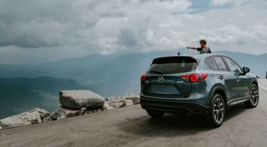 Perspectives on Balancing Budget and Features in Family Cars