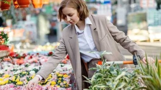 What Every New Gardener Should Look for in a Plant Shop